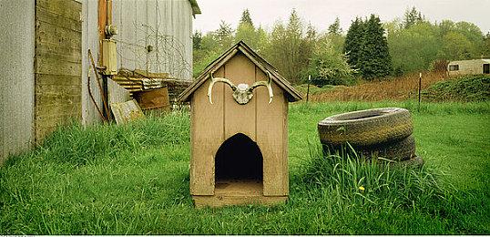 动视总裁：还不清楚AI是否能真正协助游戏开发